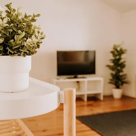Apartamento Oliveiras Do Mar - Local